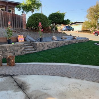 Sod And Seed - Bluegrass 50/50 - Nurseries & Gardening Near Me - Concord, California Sod And Seed - Bluegrass 50/50 - Nurseries & Gardening Near Me - Concord, California