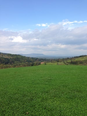 Smithsonian Conservation Biology Institute by null