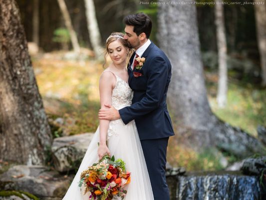 The Eldred Preserve by null