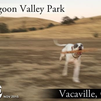 Lagoon Valley Park - 'And it looks like the HAPA found a stick... It's the simple things. - Big Aloha! - Parks Near Me - Vacaville, California Lagoon Valley Park - 'And it looks like the HAPA found a stick... It's the simple things. - Big Aloha! - Parks Near Me - Vacaville, California