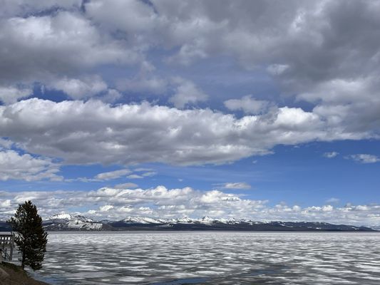 Lake Yellowstone Hotel & Cabins by null