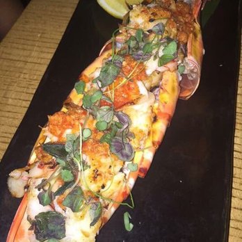Roka Akor - Chicago - Sushi Bars Near Me - Chicago, Illinois Roka Akor - Chicago - Sushi Bars Near Me - Chicago, Illinois