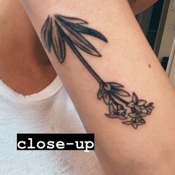 Deluxe Tattoo - Sweet Woodruff tattoo by Aaron - Tattoo Near Me - Chicago, Illinois Deluxe Tattoo - Sweet Woodruff tattoo by Aaron - Tattoo Near Me - Chicago, Illinois