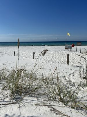 Henderson Beach State Park by null