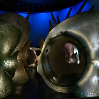 SeaGlass Carousel - Carousels Near Me - New York, New York
