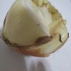 Foodfest Depot - Cash and Carry gift card