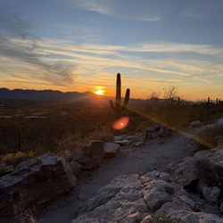 Pima Canyon Trail
