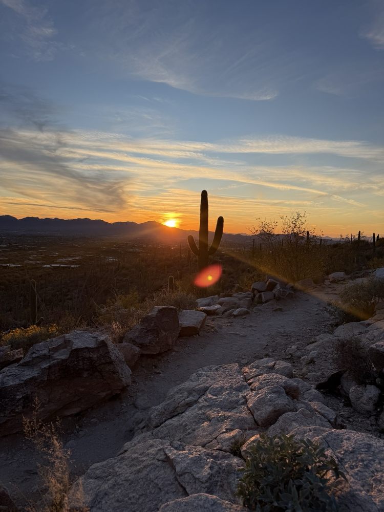 Pima Canyon Trail Logo