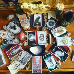 Space & Thyme Tarot & Astrology - Year Ahead Animal Spirit Spread (cards by Kim Krans, The Wild Unknown)
