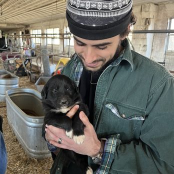 Old Windmill Farm - Holding a puppy - Attraction Farms Near Me - Ronks, Pennsylvania