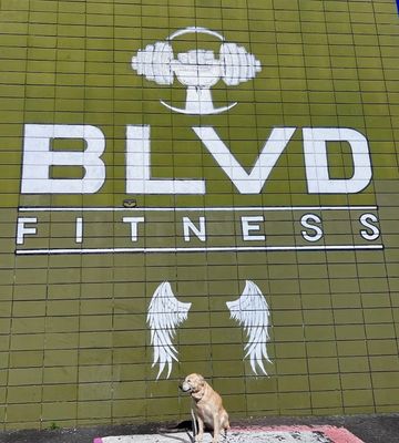 Boulevard Fitness by null