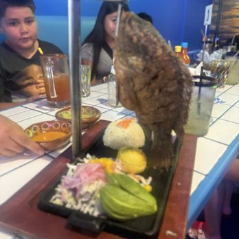 El Cevichero Cantina - Beer Bar Near Me - San Antonio, Texas
