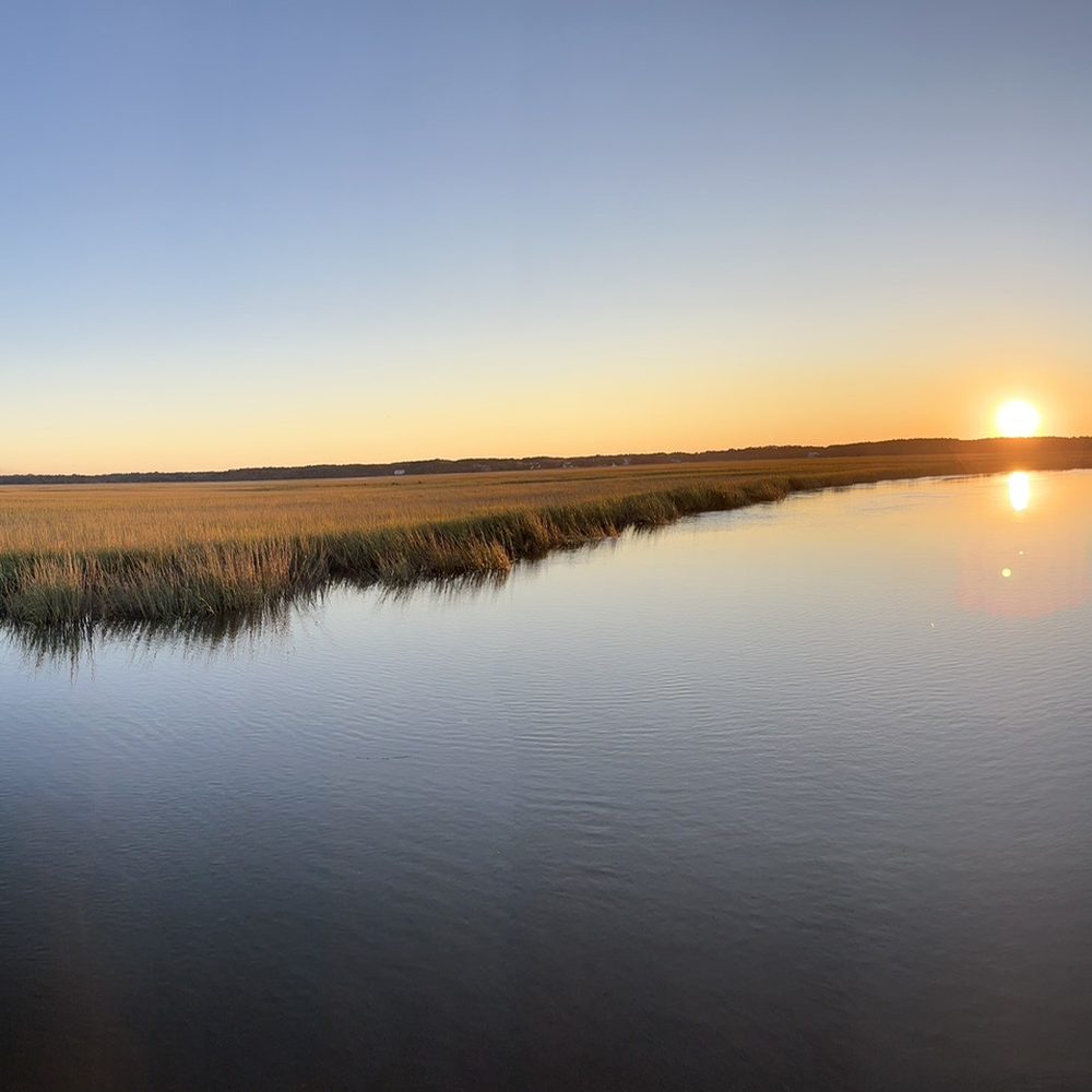 THE BEST 10 Beaches near RAVENEL, SC Last Updated August 2024 Yelp