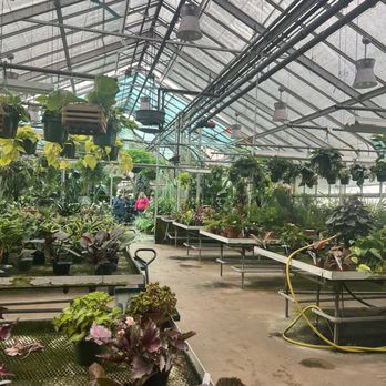 Ott's Exotic Plants - Nurseries & Gardening Near Me - Schwenksville, Pennsylvania Ott's Exotic Plants - Nurseries & Gardening Near Me - Schwenksville, Pennsylvania
