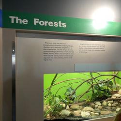 Herpaquarium