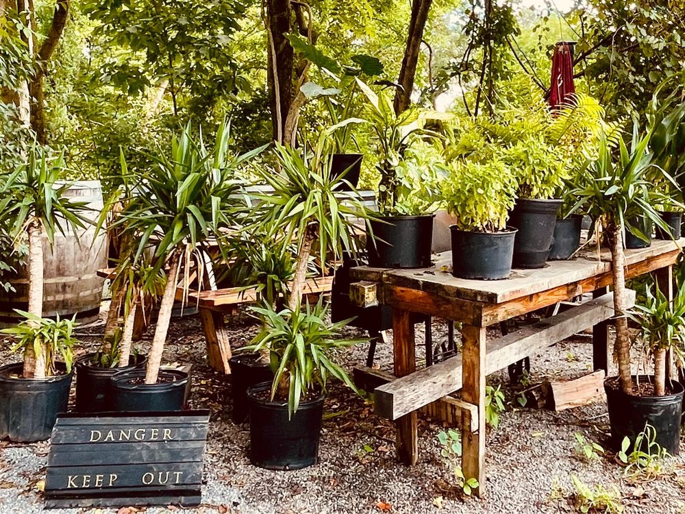 CURSUS KEME Updated November 2024 163 Photos & 79 Reviews 155