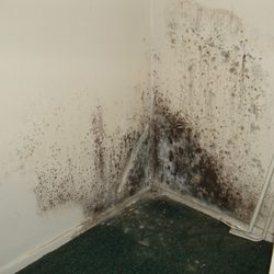 Accurate Inspections of NWFL