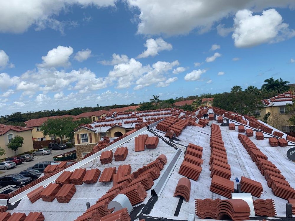 Slide of Mr. & Mrs. Shingles Roofing