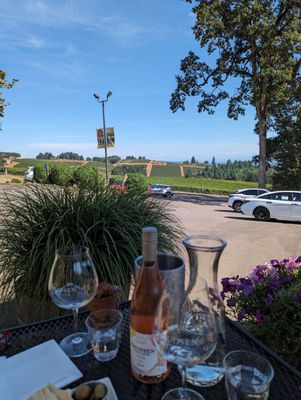 Knudsen Vineyards by null