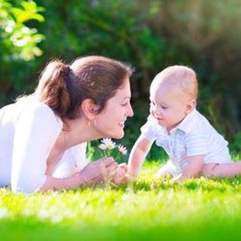 Turf Masters Lawn Care - Tree Services Near Me - Spring Hill, Tennessee Turf Masters Lawn Care - Tree Services Near Me - Spring Hill, Tennessee