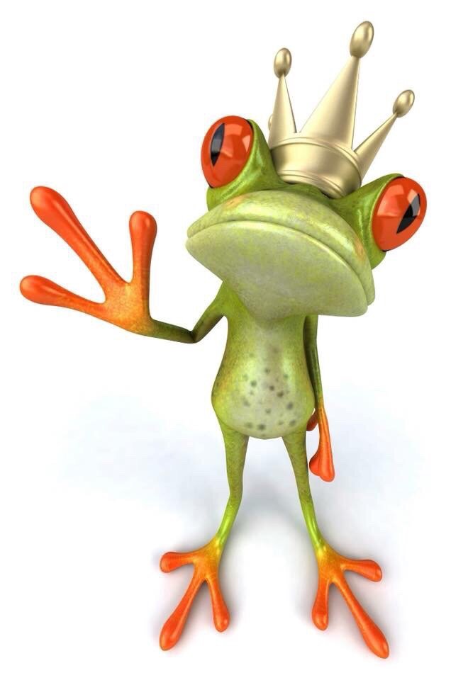 KINGS AUTO SALES Updated September 2024 2301 Hendersonville Rd, Arden, North Carolina Car