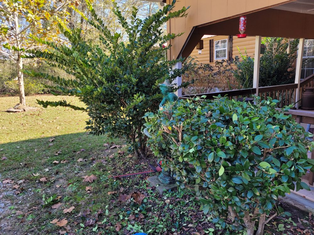 Slide of Heavy Metal Roofing