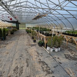 Inside one of the greenhouses