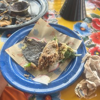 Nixta Taqueria - Duck Carnitas Taco , phone obviously didnt eat first. - Mexican Near Me - Austin, Texas Nixta Taqueria - Duck Carnitas Taco , phone obviously didnt eat first. - Mexican Near Me - Austin, Texas