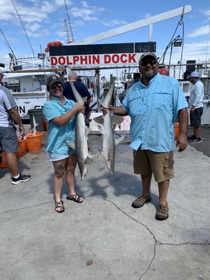 DOLPHIN DOCK - Updated March 2025 - 155 Photos & 149 Reviews - 300 W