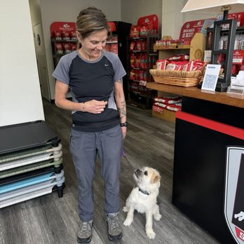 K-Nine Solutions Dog Training - Lucky and Kelly! - Pet Training Near Me - Santa Barbara, California