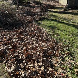 Top Green Maintenance