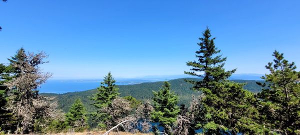 Moran State Park by null