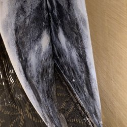 Professional Mold Inspections - Wallpaper mold