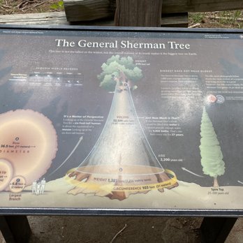 General Sherman Tree - Hiking Near Me - Sequoia National Park, California General Sherman Tree - Hiking Near Me - Sequoia National Park, California