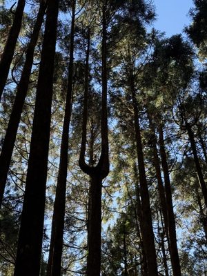 Chiayi County, Taiwan 605 by null