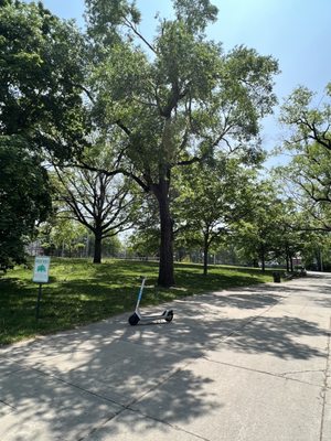 Riverbank Park by null