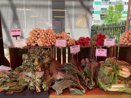 Lawrenceville Farmers Market by null