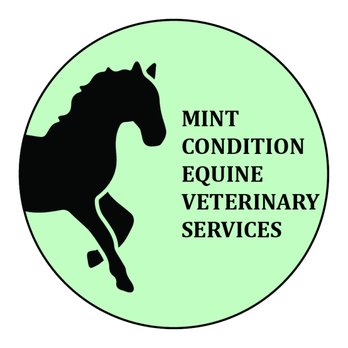 Mint Condition Equine - Veterinarians Near Me - Roswell, Georgia Mint Condition Equine - Veterinarians Near Me - Roswell, Georgia