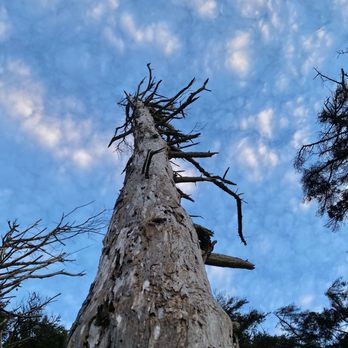 Hobbit Beach Trailhead - Cloud Porn at its finest! - Beaches Near Me Hobbit Beach Trailhead - Cloud Porn at its finest! - Beaches Near Me