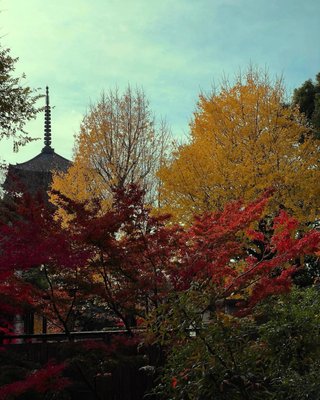 To-ji Temple by null