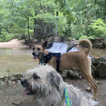 Hahn Woods - Mill ruins - Parks Near Me - Atlanta, Georgia