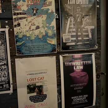 Will's Pub - Upcoming shows - Really want to see Lost Cat!!! - Music Venues Near Me - Orlando, Florida