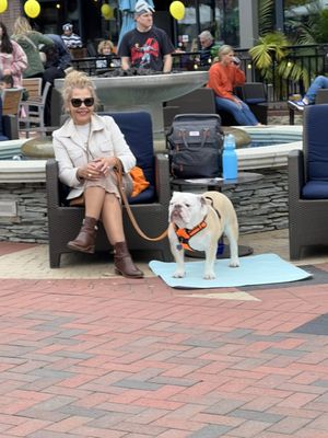 Village at Leesburg by null