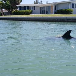 Allure Boat Rentals