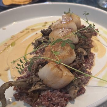 Coyote Cafe - Scallops - New American Near Me - Santa Fe, New Mexico