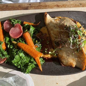 Mala Ocean Tavern - Fish of the day - Kampachi - Seafood Near Me - Lahaina, Hawaii Mala Ocean Tavern - Fish of the day - Kampachi - Seafood Near Me - Lahaina, Hawaii
