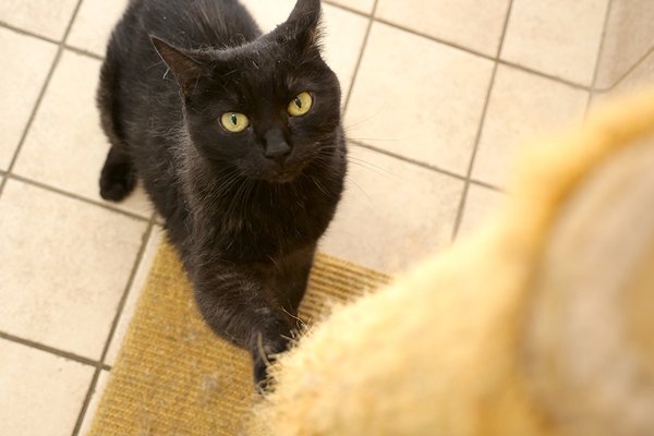 Now Boarding by null