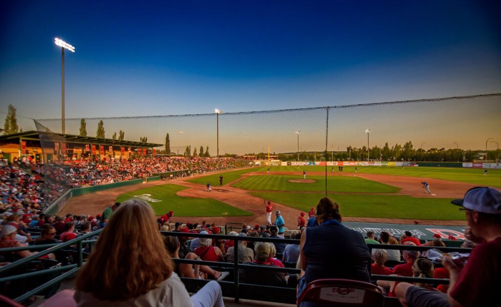Okotoks Dawgs Logo