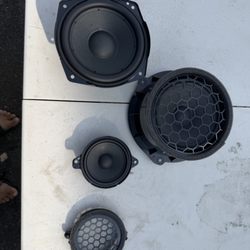Nvs Audio