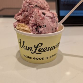 Van Leeuwen Ice Cream - Ice Cream & Frozen Yogurt Near Me - Cambridge, Massachusetts Van Leeuwen Ice Cream - Ice Cream & Frozen Yogurt Near Me - Cambridge, Massachusetts